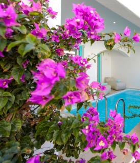 Majo Suites Hotel - Agia Anna Naxos - 2