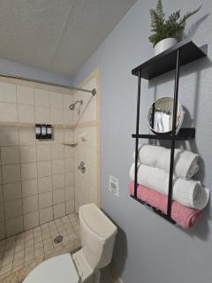 Private Tropical MIL Suite by Busch Gardens & USF - Tampa - 6