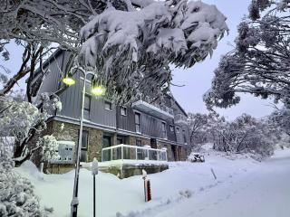 Alpine Escape Stylish 3BR Villa 450m to Main Lift - Mount Buller - 8