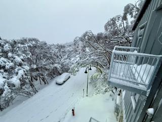 Alpine Escape Stylish 3BR Villa 450m to Main Lift - Mount Buller - 7