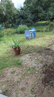 Le jardin des manguiers - Kourou - 2