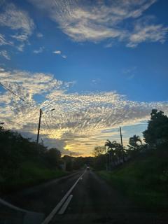 Zen'Nature&Chill House - Punta Cana Room - 6