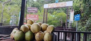 Naviza Homestay - - 6