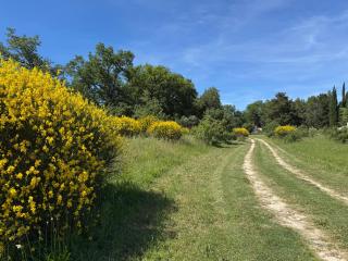 Le Cabanon de Vally - Caromb - 6