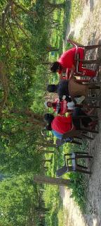 Evergreen homestay iin - 3