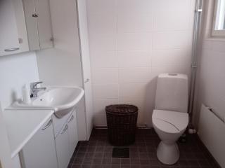 Suuri huoneisto puusaunalla - 9