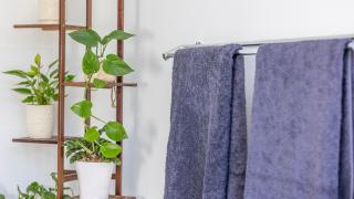 Coopers Lodge, Lovedale - A rural escape in the heart of wine country - Lovedale - 2