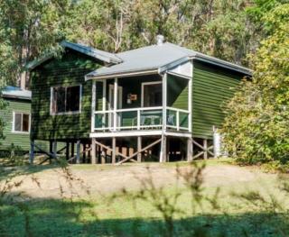 Wellington Forest Cottages & Bar - 5