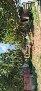 Evergreen homestay iin - 7