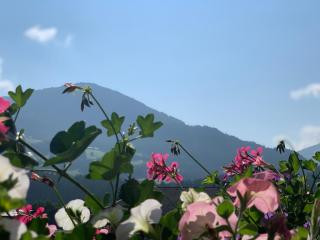 Dorfjuwel Alpbachtal - 9