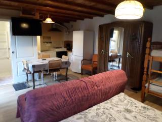 Studio-appartement à proximité d'une maison de Maître de 1904 - Haguenau - 5