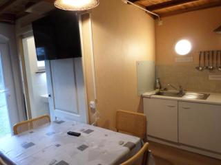 Studio-appartement à proximité d'une maison de Maître de 1904 - Haguenau - 2