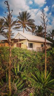 Casuarina Cabin - Clansthal - 8