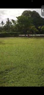 Tyann - - 1