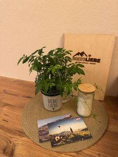 Boutique Apartment BERGLIEBE, ski in-out - 5