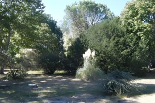 La Dune - Domaine Des Landes - 1