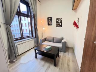 Apartmán č4 Tomkova 142 Centrum HK - Hradec Králové - 8