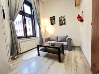 Apartmán č4 Tomkova 142 Centrum HK - Hradec Králové - 3