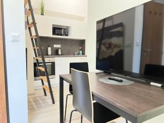 Apartmán č4 Tomkova 142 Centrum HK - Hradec Králové - 1