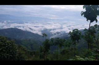 sanjivani buti organic krisi farm & resort - 8