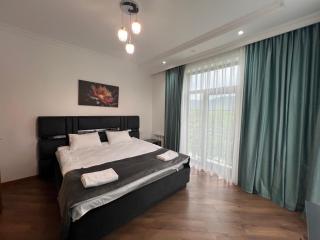 Gabala Buta Guest House - Nohurqışlaq - 4