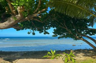 Garden Reef Bungalows - - 3