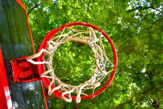 Victoria Grand Suite - 4