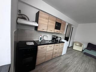 Apartament ultracentral Vatra Dornei - Vatra Dornei - 9