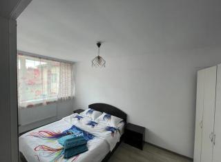 Apartament ultracentral Vatra Dornei - Vatra Dornei - 1