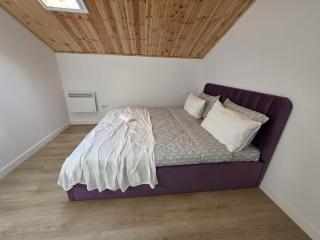 Vila Amedeea - Domneşti - 1