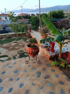 zikos house - Monemvasia - 5