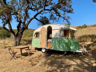 Lost Paradise - Cosy Wagon - Sabóia - 0