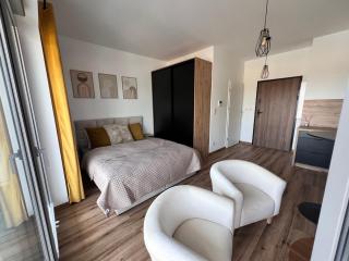 Serenity Apartament - Kattowitz - 2
