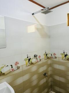 Bloom house homestay - Nikawatawana - 5