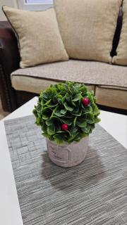 Ramonda Apartment - Gevgelija - 5