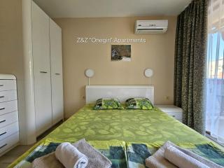 Z&Z "Onegin" Apartments - 1