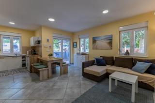 Apartment Andrej with Terrace and Garden - Nova Vas - 9