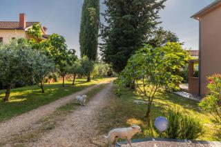 Apartment Andrej with Terrace and Garden - Nova Vas - 8