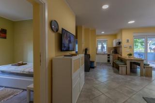 Apartment Andrej with Terrace and Garden - Nova Vas - 5