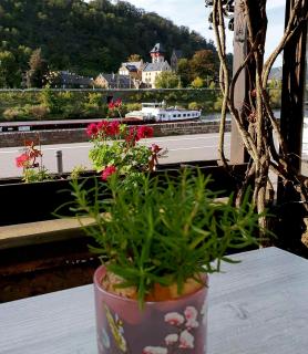 Bachmeier's Gasthaus Traube Niederfell - 6