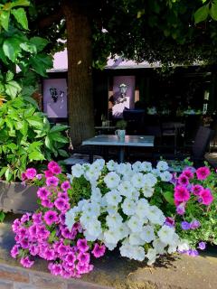 Bachmeier's Gasthaus Traube Niederfell - 7