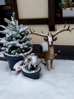 Bachmeier's Gasthaus Traube Niederfell - Niederfell - 8