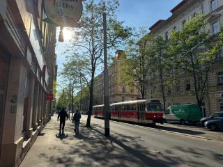 Royal Crown Apartment - Praga - 6