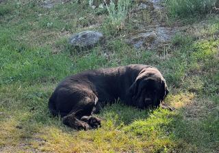 Lac de Vassivière Petite maison à proximité - 4