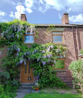 Bridge Cottage Hot tub Enclosed garden Tranquility - - 9