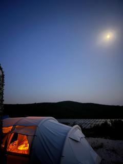 Camp Rose - 9