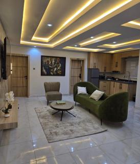 Appealing Apartment - Lagos - 7