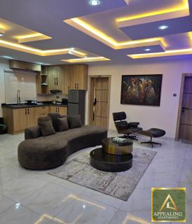 Appealing Apartment - Lagos - 2