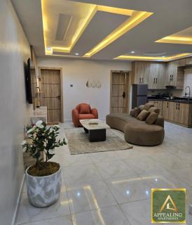 Appealing Apartment - Lagos - 3