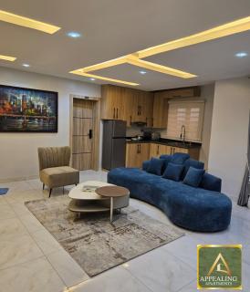 Appealing Apartment - Lagos - 4